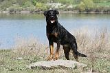 BEAUCERON 624